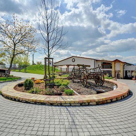 Penzion Tokaj Macik Winery B&B Mala Trna Extérieur photo