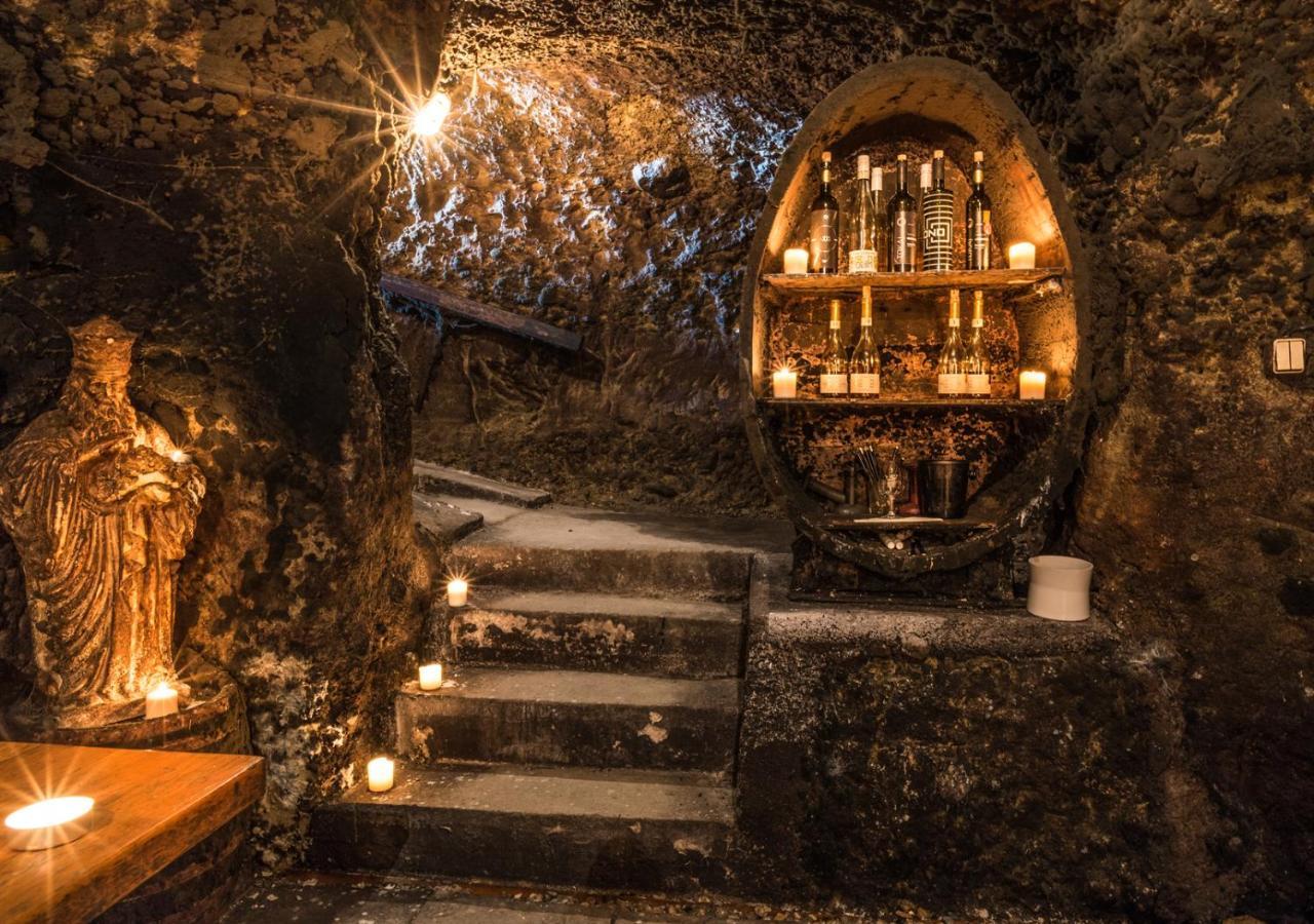 Penzion Tokaj Macik Winery B&B Mala Trna Extérieur photo