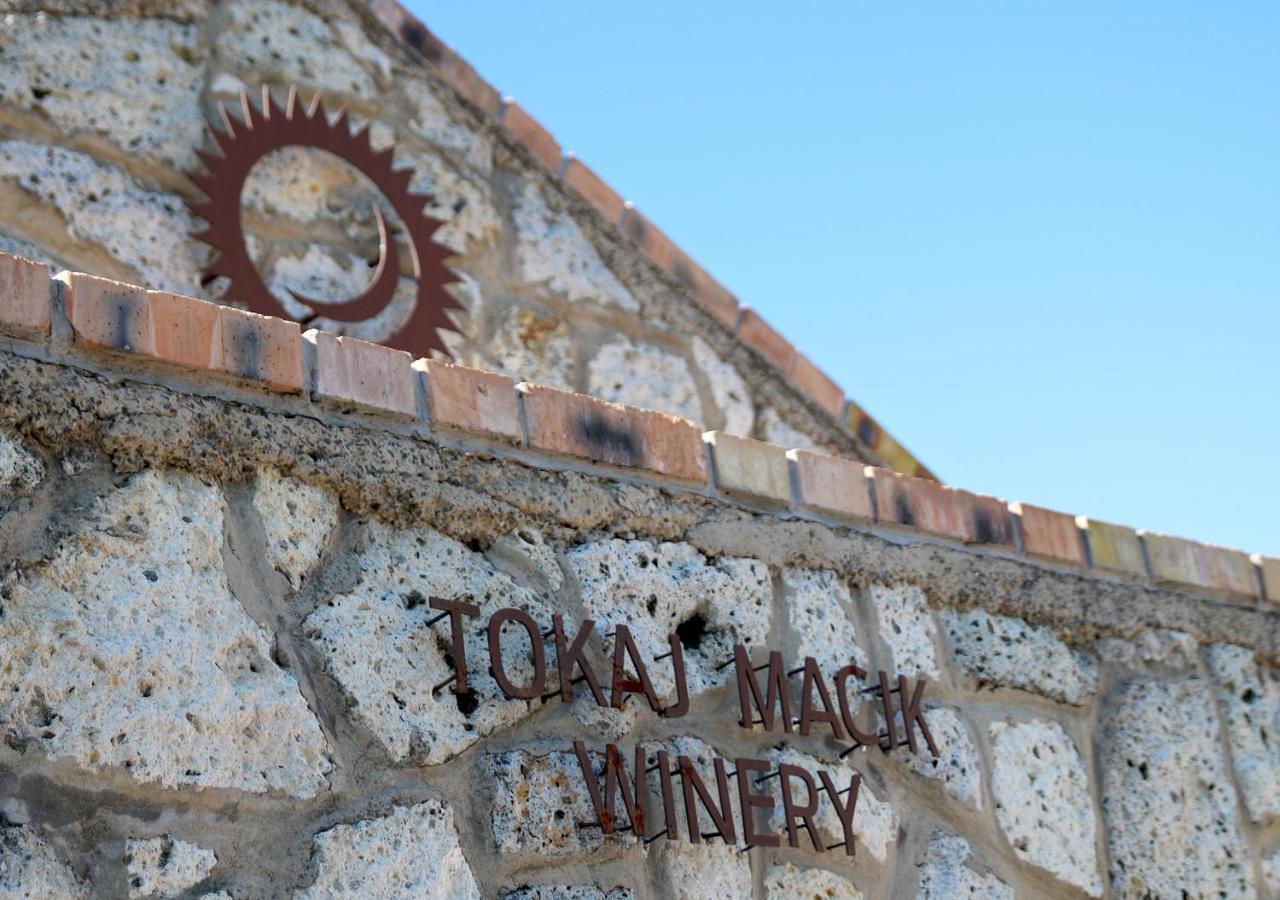 Penzion Tokaj Macik Winery B&B Mala Trna Extérieur photo